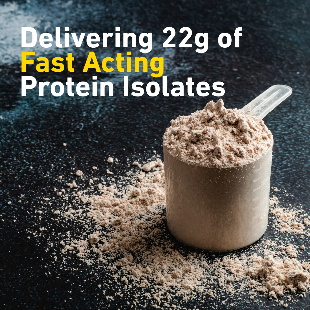 ISOWHEY (Chocolate) - Whey Protein Isolate Powder