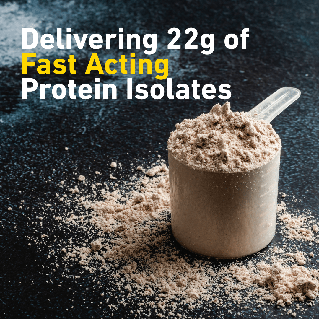 ISOWHEY (Chocolate) - Whey Protein Isolate Powder - Anton Nutrition