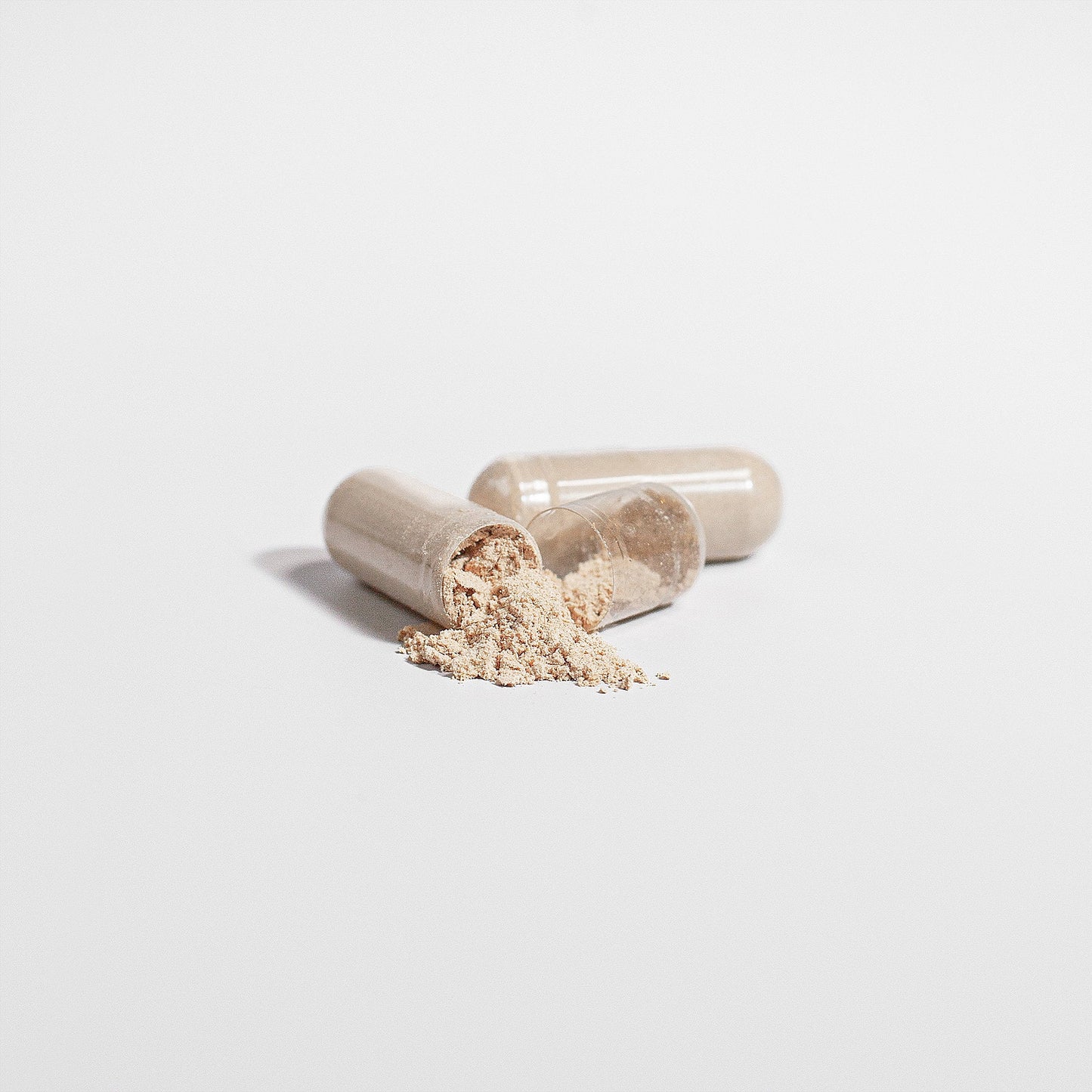 Lion's Mane Mushroom - Anton Nutrition