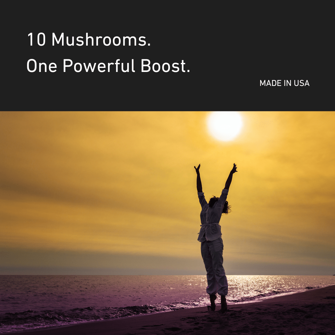 Mushroom Complex Gummies - Anton Nutrition